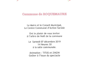 Invitation spectacle de Noel