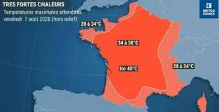 CANICULE 1