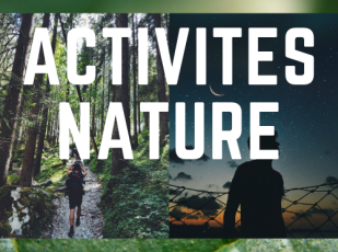 activites