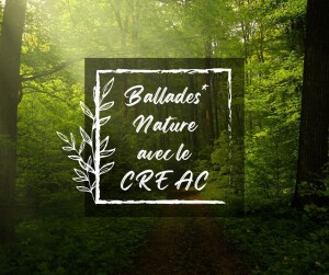 Ballades Nature avec le CREAC