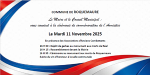 Cérémonie 11 Novembre